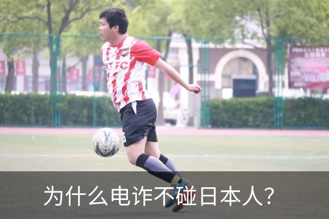 为什么电诈不碰日本人？
