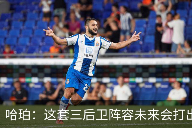 哈珀：这套三后卫阵容未来会打出更好表现