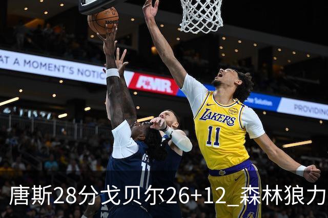 唐斯28分戈贝尔26+12 森林狼力克黄蜂4连胜