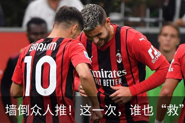墙倒众人推！这一次，谁也“救”不了落井下石被“反噬”的杨议