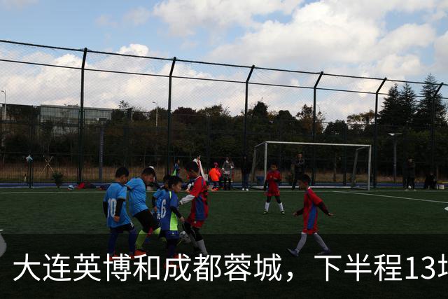 大连英博和成都蓉城，下半程13场比赛战绩对比，谁能夺冠一目了然