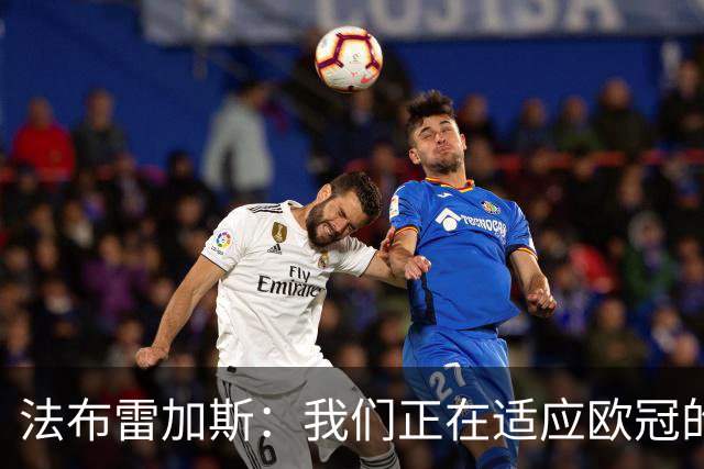 法布雷加斯：我们正在适应欧冠的节奏，这并不容易