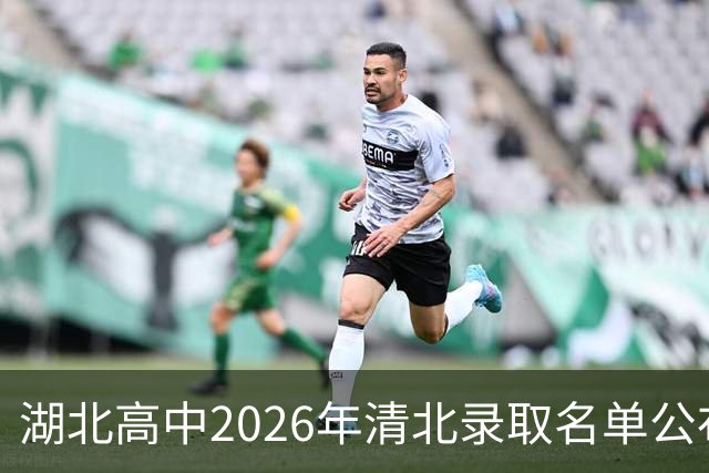湖北高中2026年清北录取名单公布