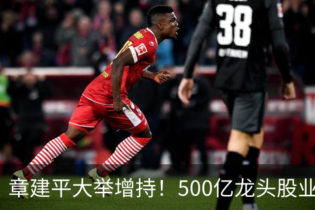章建平大举增持！500亿龙头股业绩大增超8倍